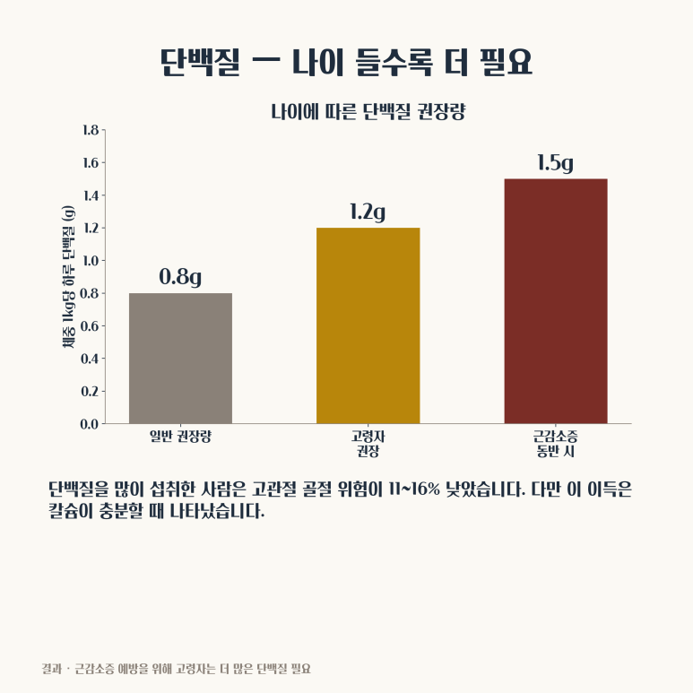 단백질과 뼈건강